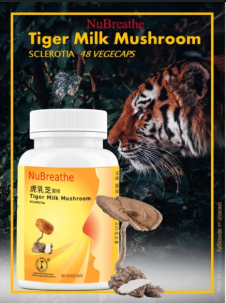 Nubreathe Authentic Tiger Milk Mushroom 虎乳芝 48 CAPS Support Lungs & Health 支持肺部功能和健康 (Made in Singapore 新加坡产品 )