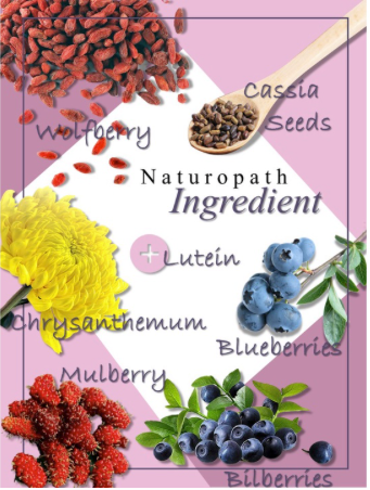 Naturopath Bilberry 山桑子胶囊100 CAPS★ SUPPORT EYESIGHT, DRY EYES, BLOOD CIRCULATION OF EYES(VEG)(100% NATURAL) MADE IN SG